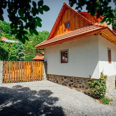 Banská Štiavnica Stara Mytnica 빌라 외부 사진
